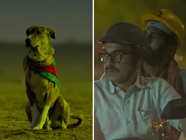 Amit Raiâs Ohh My Dog To Hit Theatres On July 31
